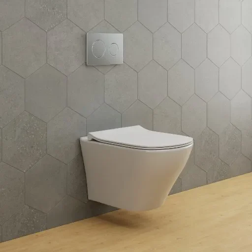 Wall Hung Toilet