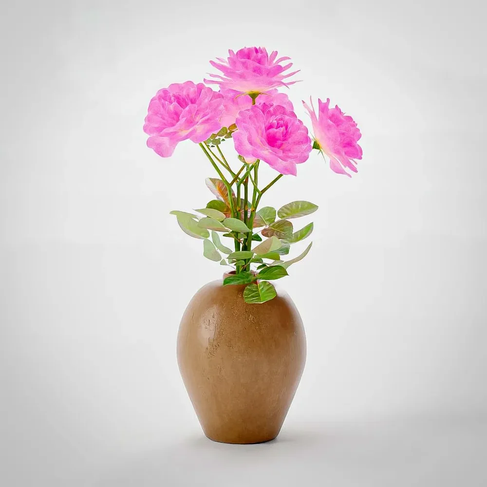 Pink Roses In Vase