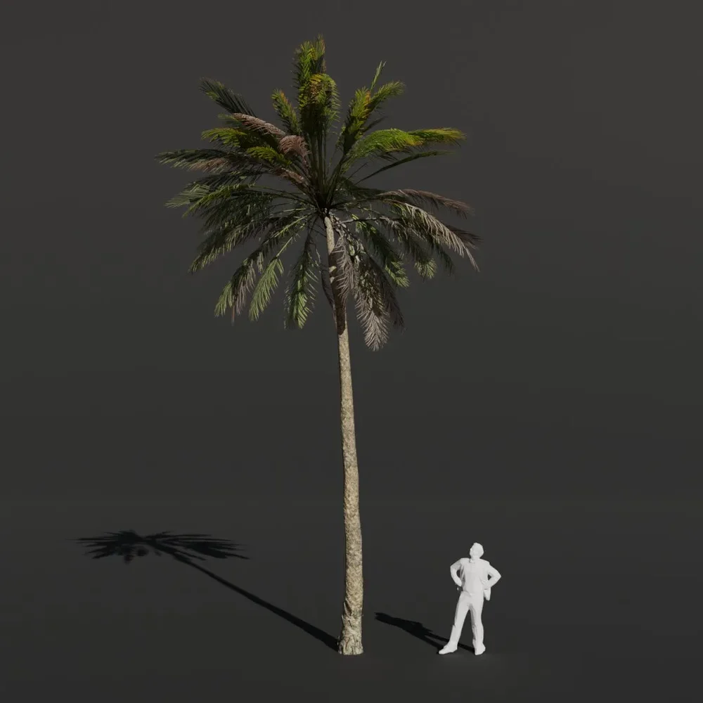 Palm Tree Medium Bent