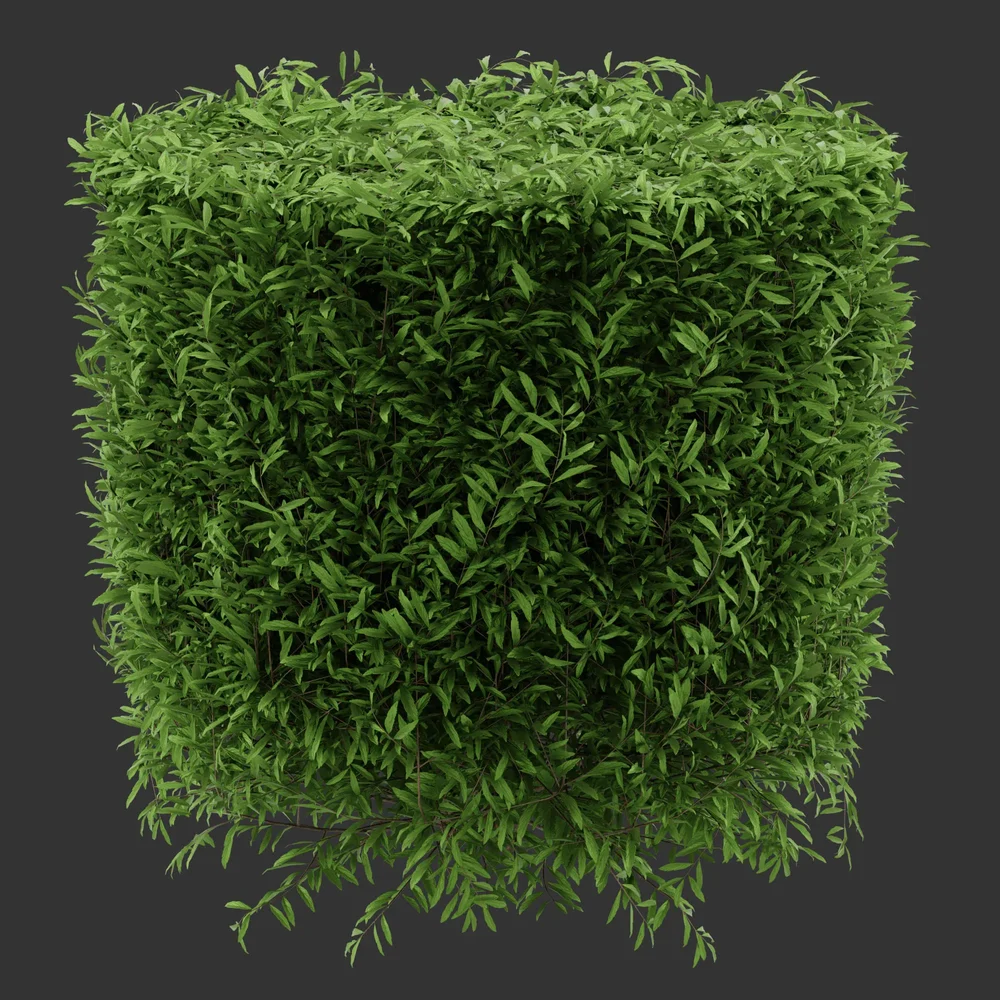 Cylinder Simple Bush Q