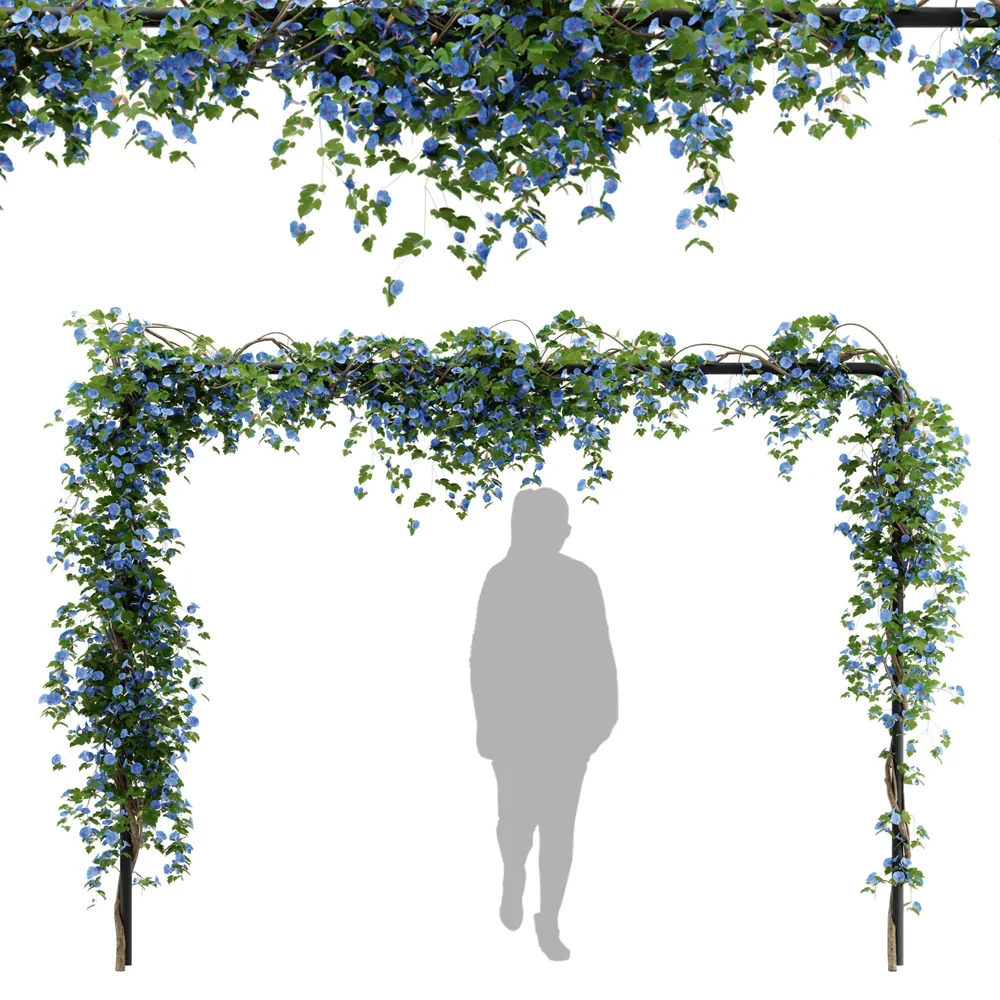 Simple Ivy Trellis Plant
