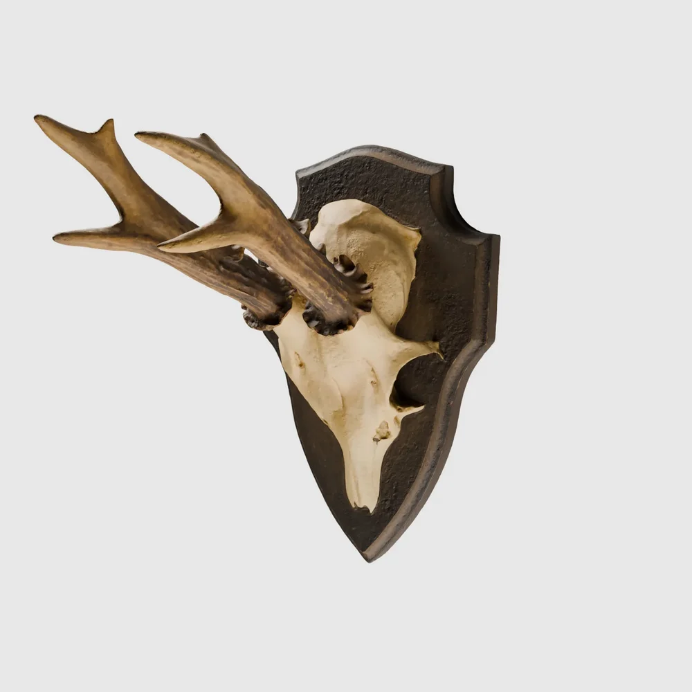 Skull 03