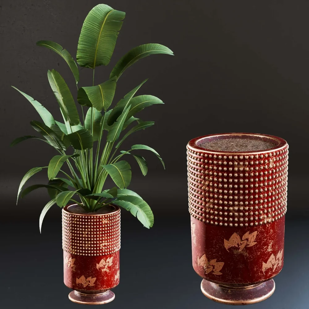 Sj-Strelitzia-Lux Pot 04