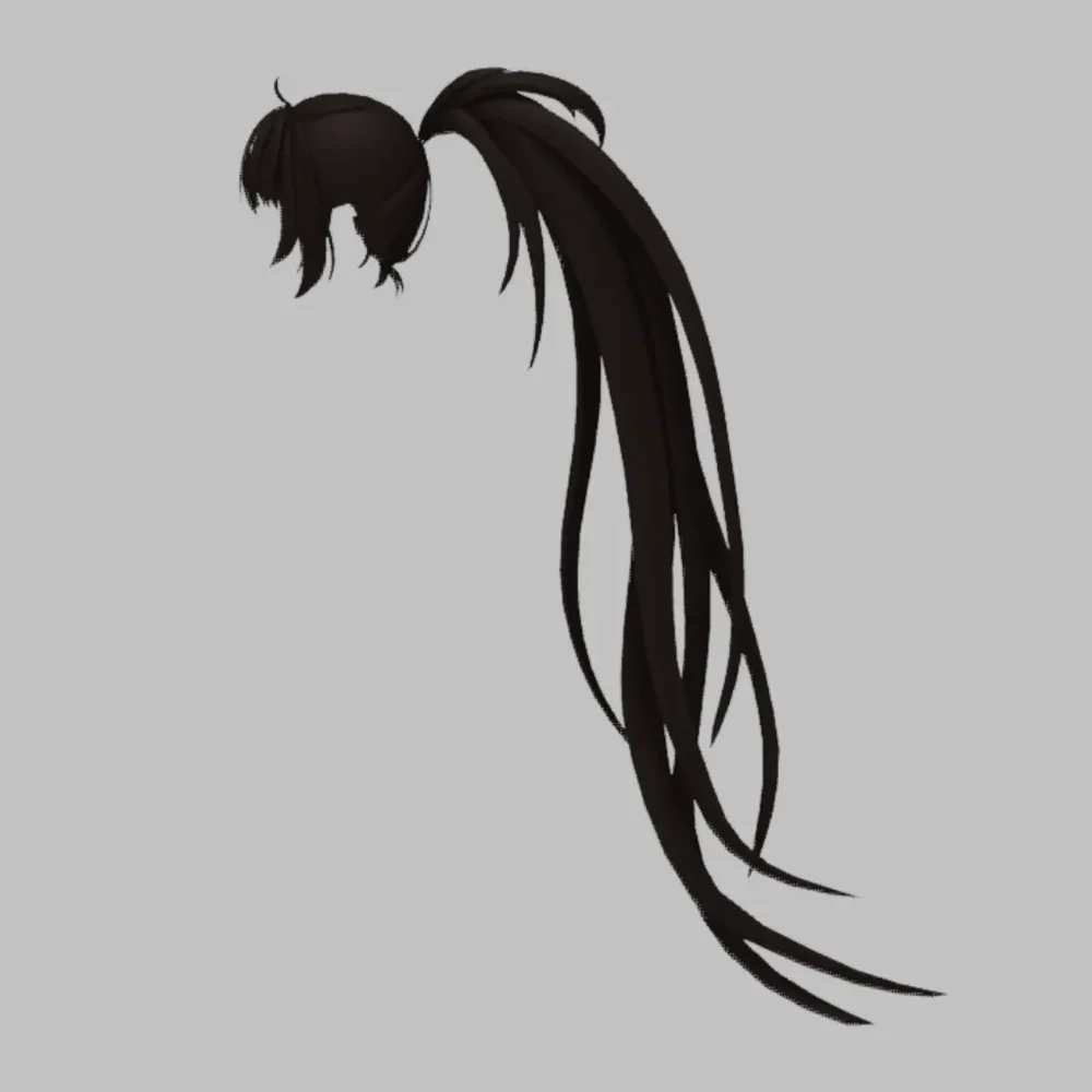 Anime Style Long Ponytail Hair