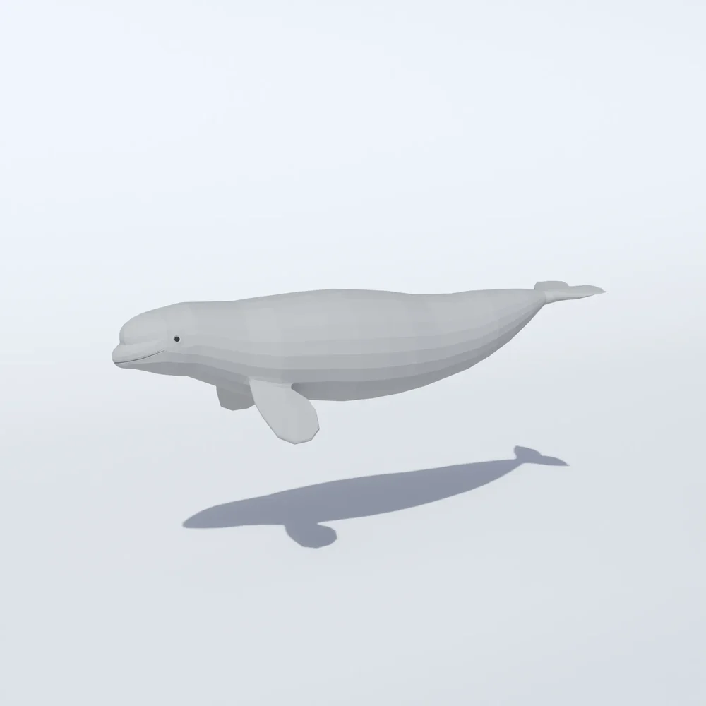 Low Poly Beluga Whale