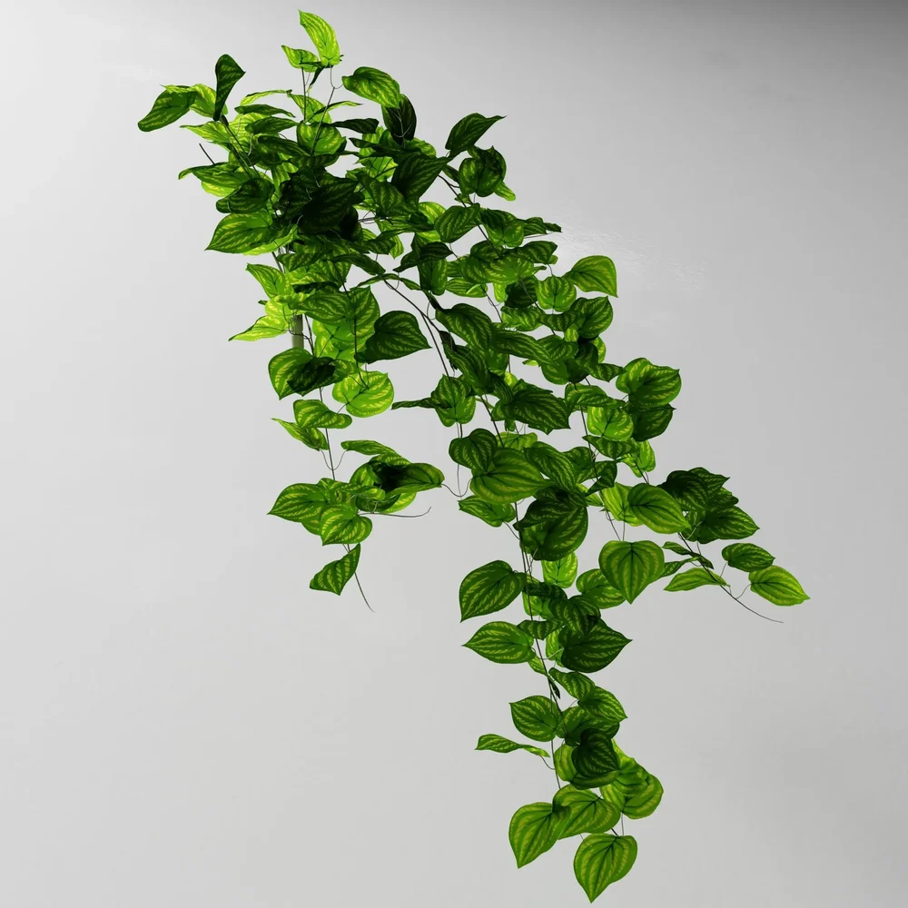 Artificial Tendril Peperomia V2