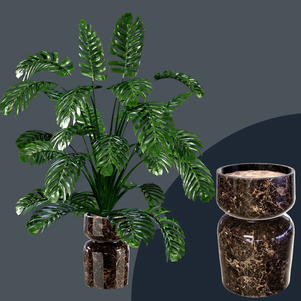 Sj-Monstera 09