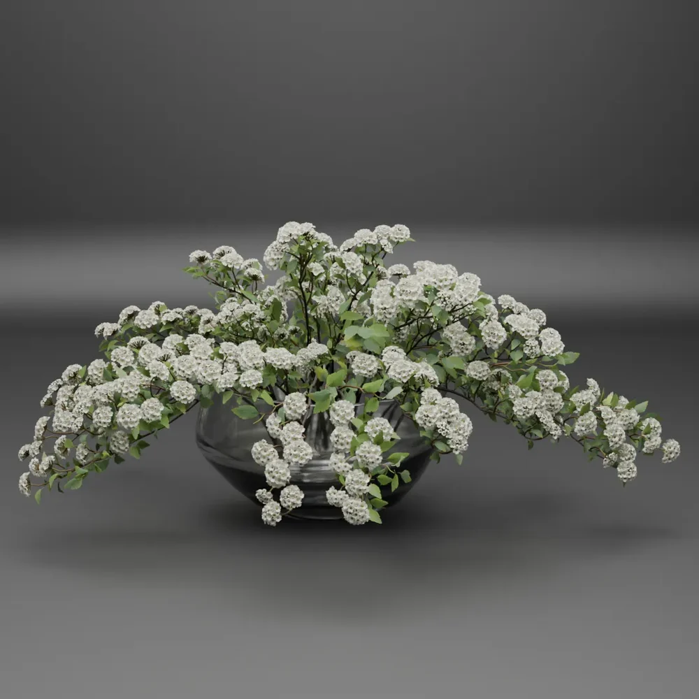 White Spirea Flower Arrangement