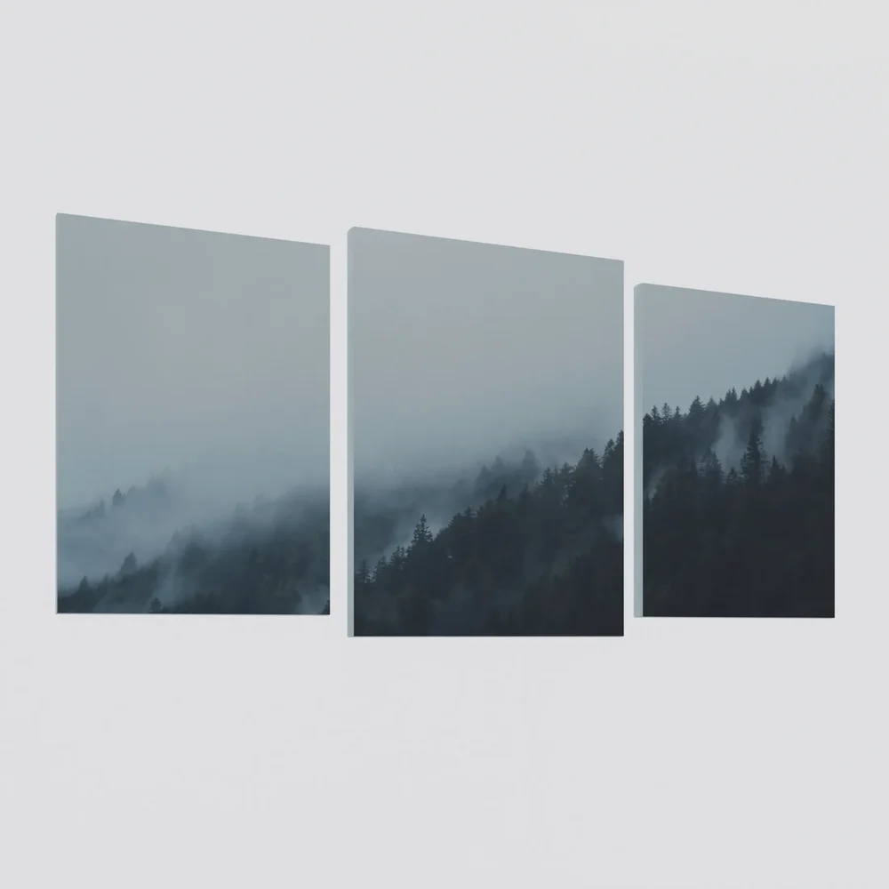 Set Of Pictures