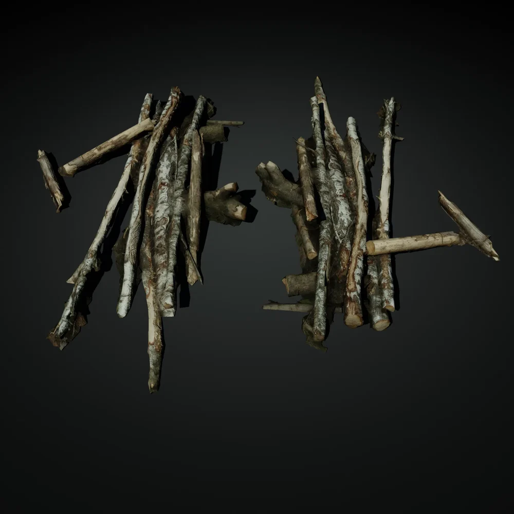 Pile Of Logs 02
