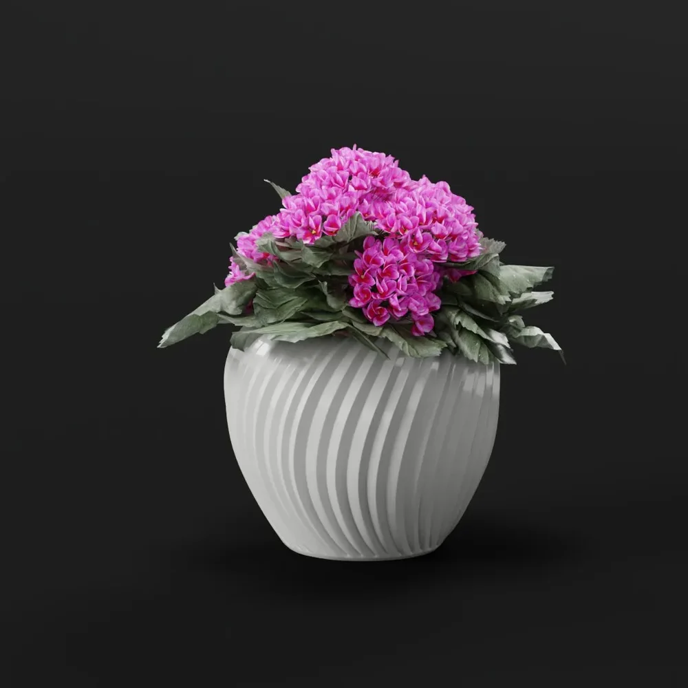 Pink Hydrangea In White Ceramic Pot