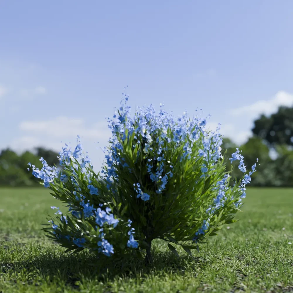 Shurb - Caryopteris Bluebeard Animated