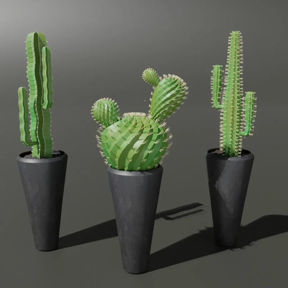 Sj-Cactus Set 02