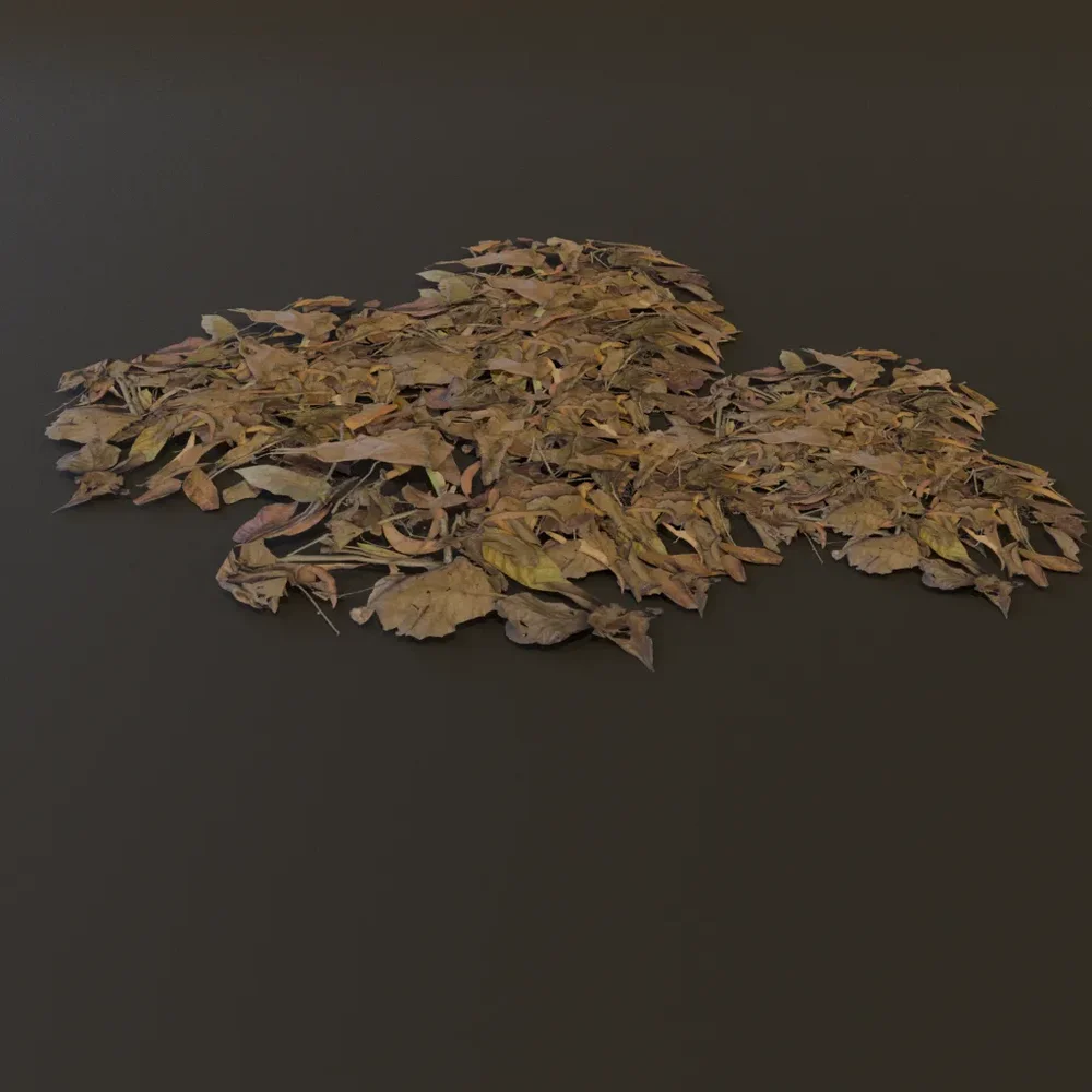 Debris Dry Leaves Gn