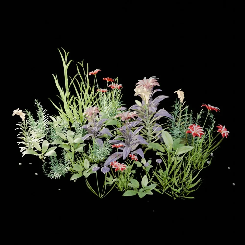Garden And Yard Plants