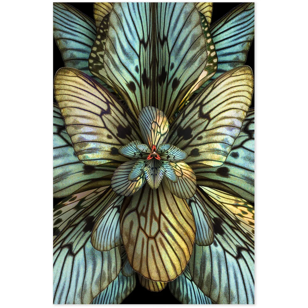 Mimesis Magnolia Astonish Carpet