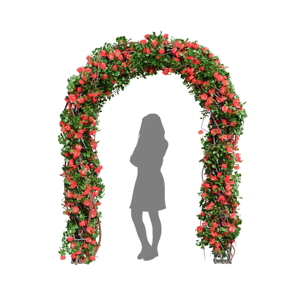 Climbing Roses Garden Bow Red