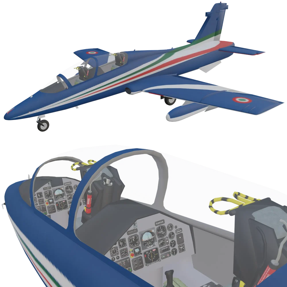 Aermacchi Fighter Jet