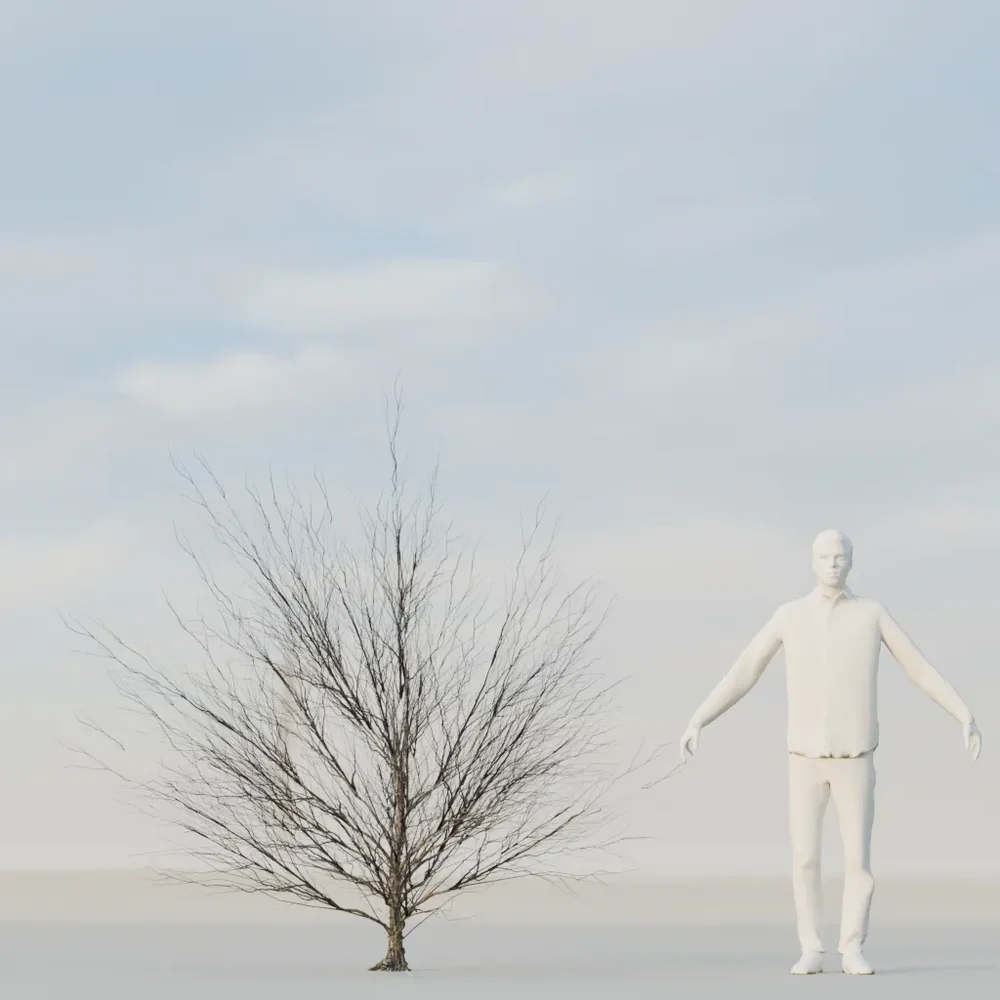 Dry Bush Low Poly