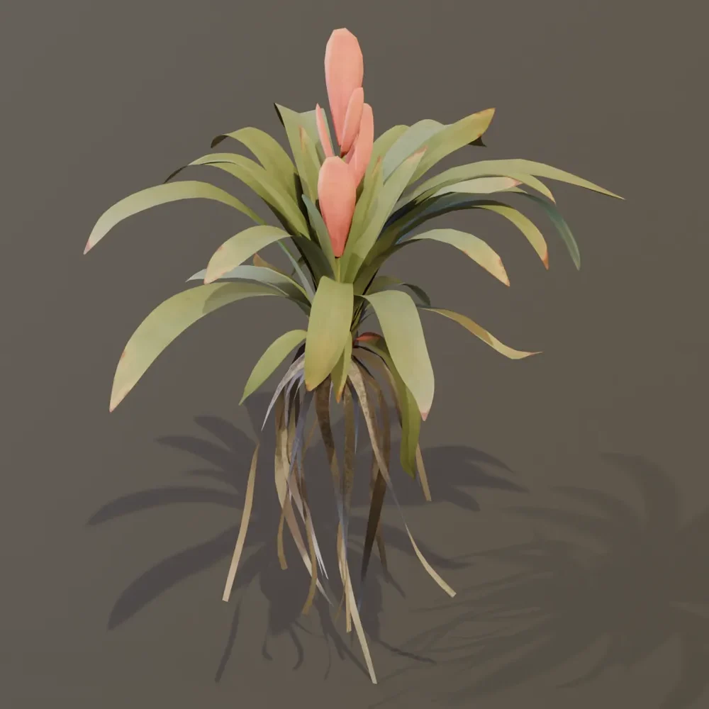 Bromeliad Tropical Flower Small