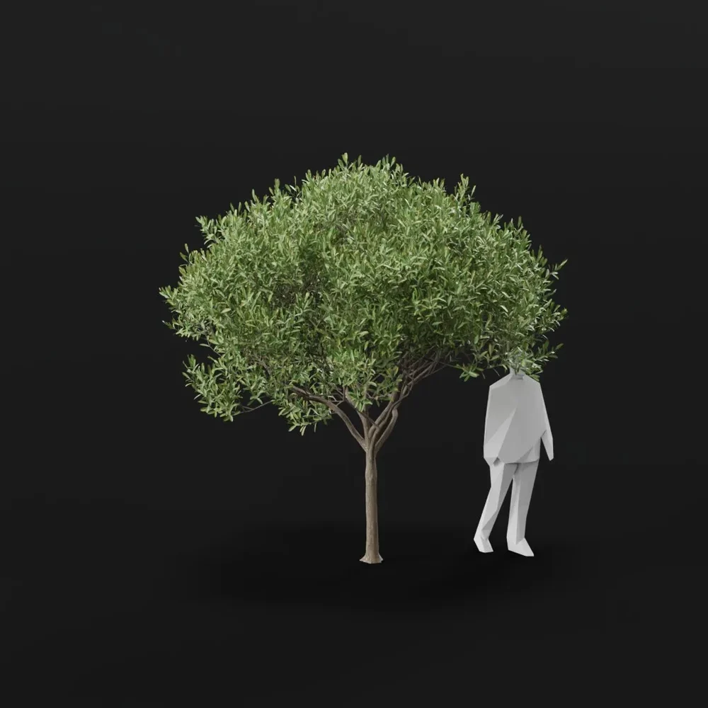 Olive Tree City Med