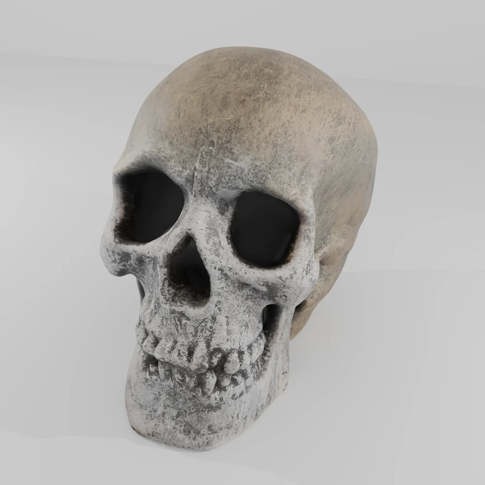 Plastic Skull Decoration