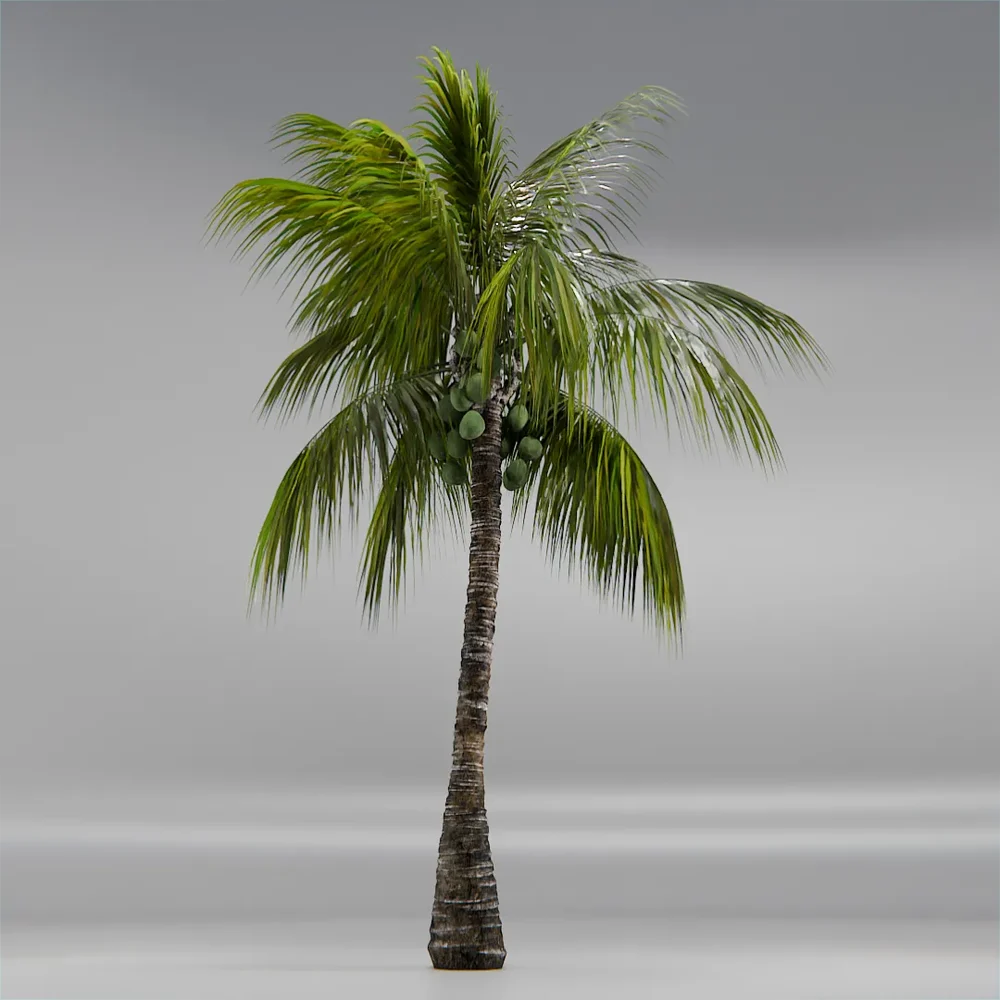 Coconut Tree Rigged And Animated