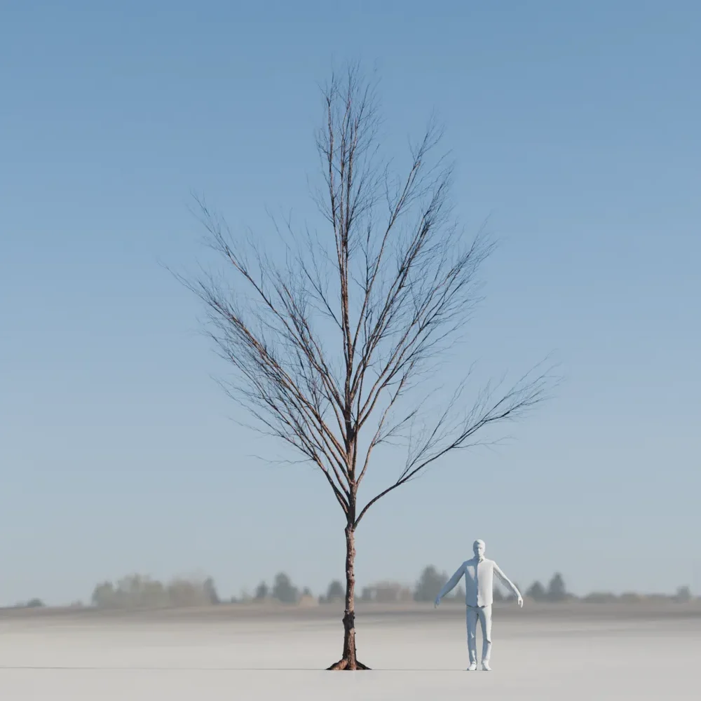 Dry Tree Low Poly Animated