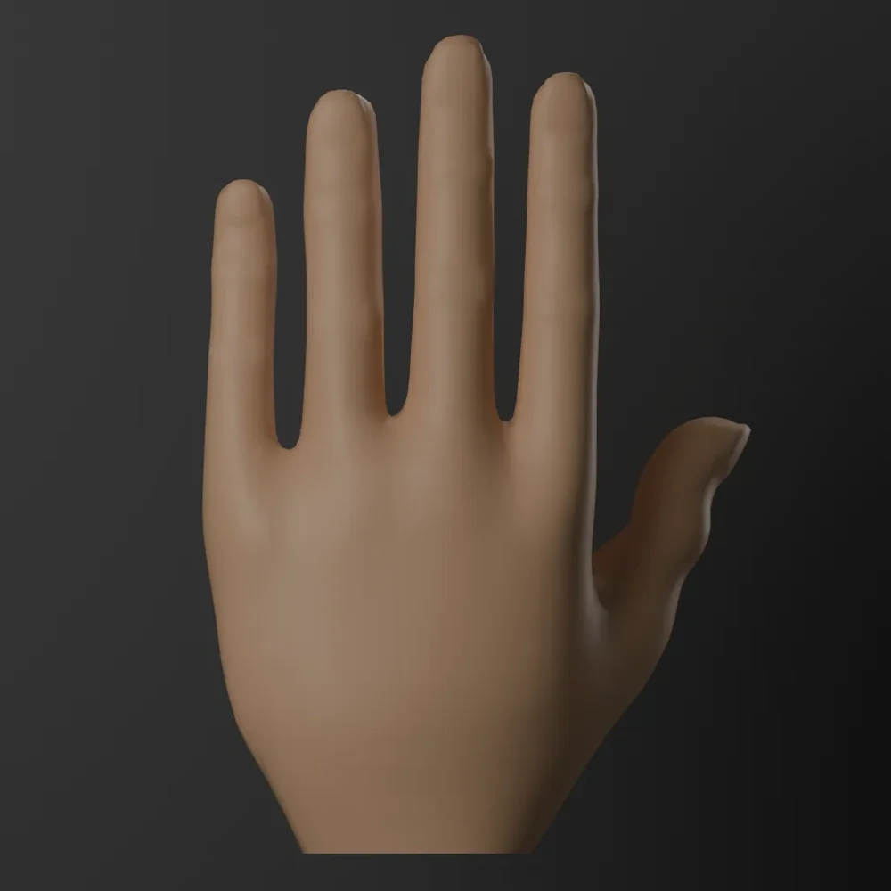 Female Hand Basemesh