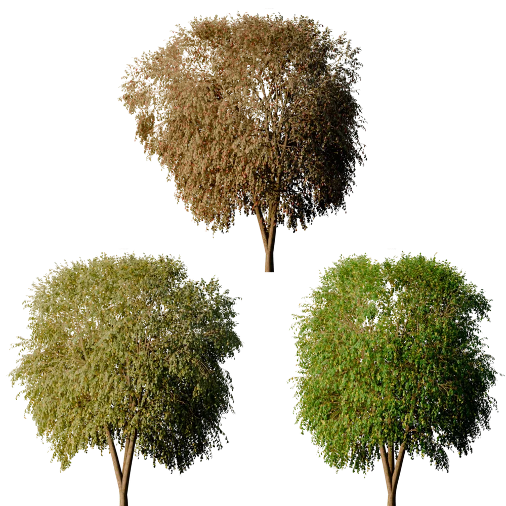 Fake Trees