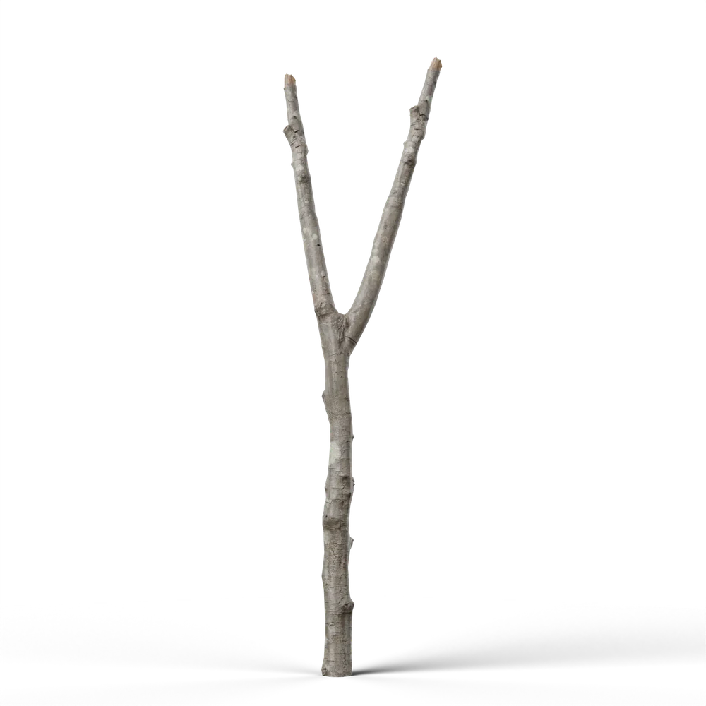 Dead Tree V2