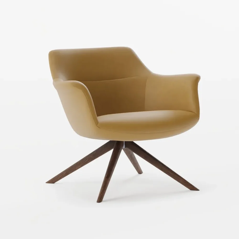 Armchair Lounge
