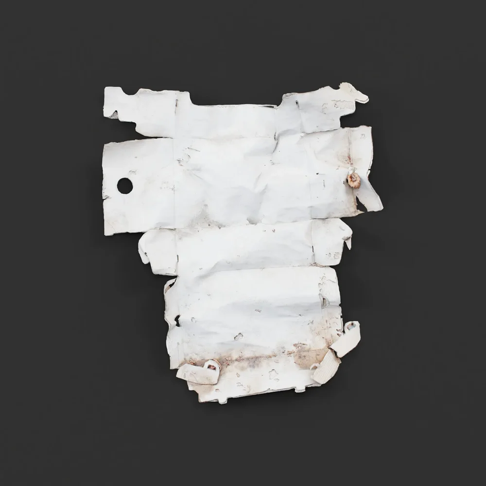 Unfolded Cardboard Trash