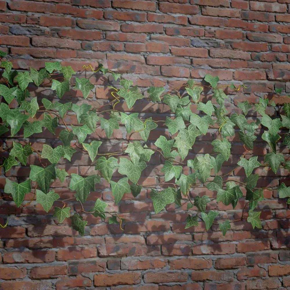 Ivy Creeper Patch 4m 01