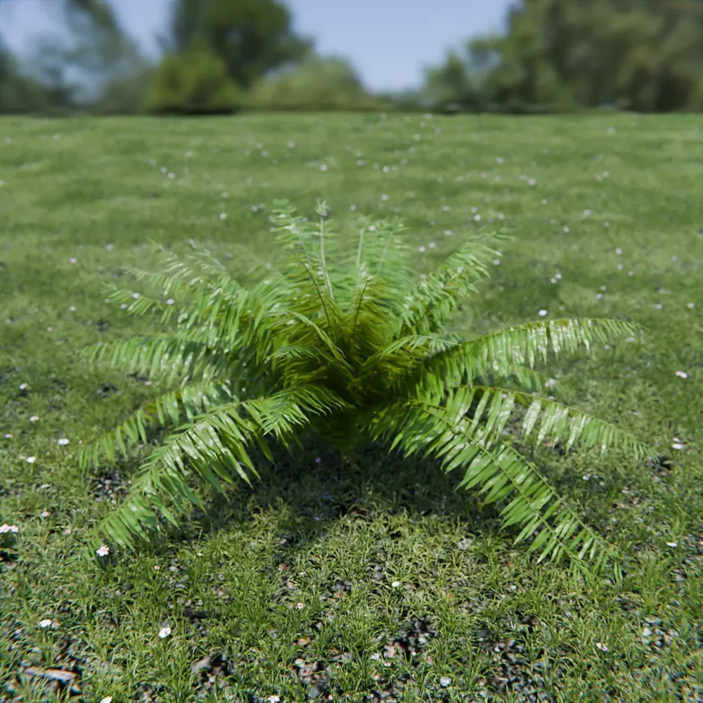 Hard Fern