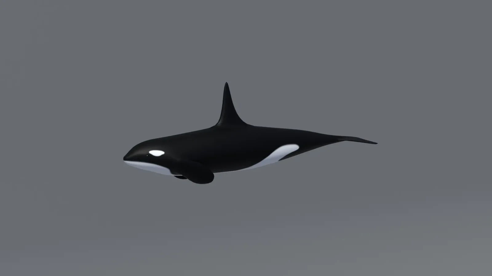 Cartoon Orca Killer Whale