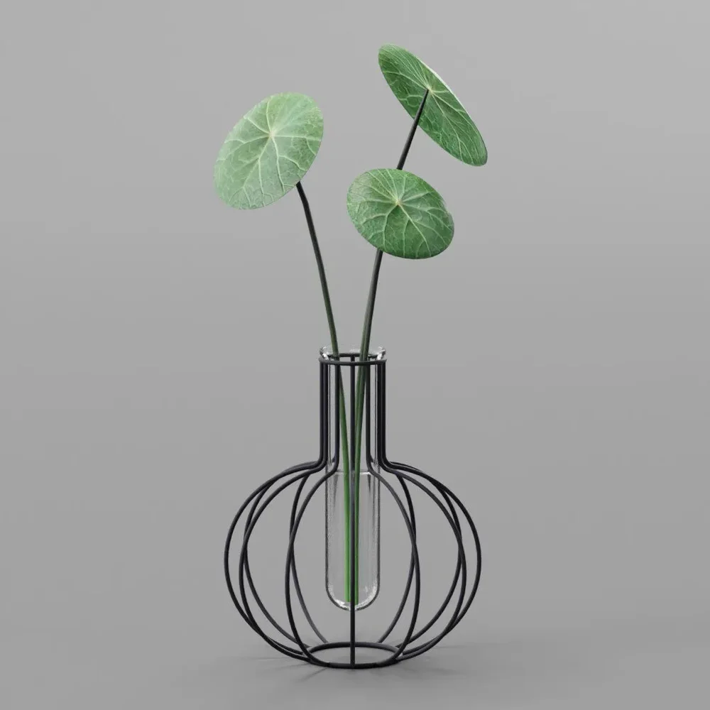 Indoor Greenery Money Plant With Round Green Leaves In Tube Rod Vase