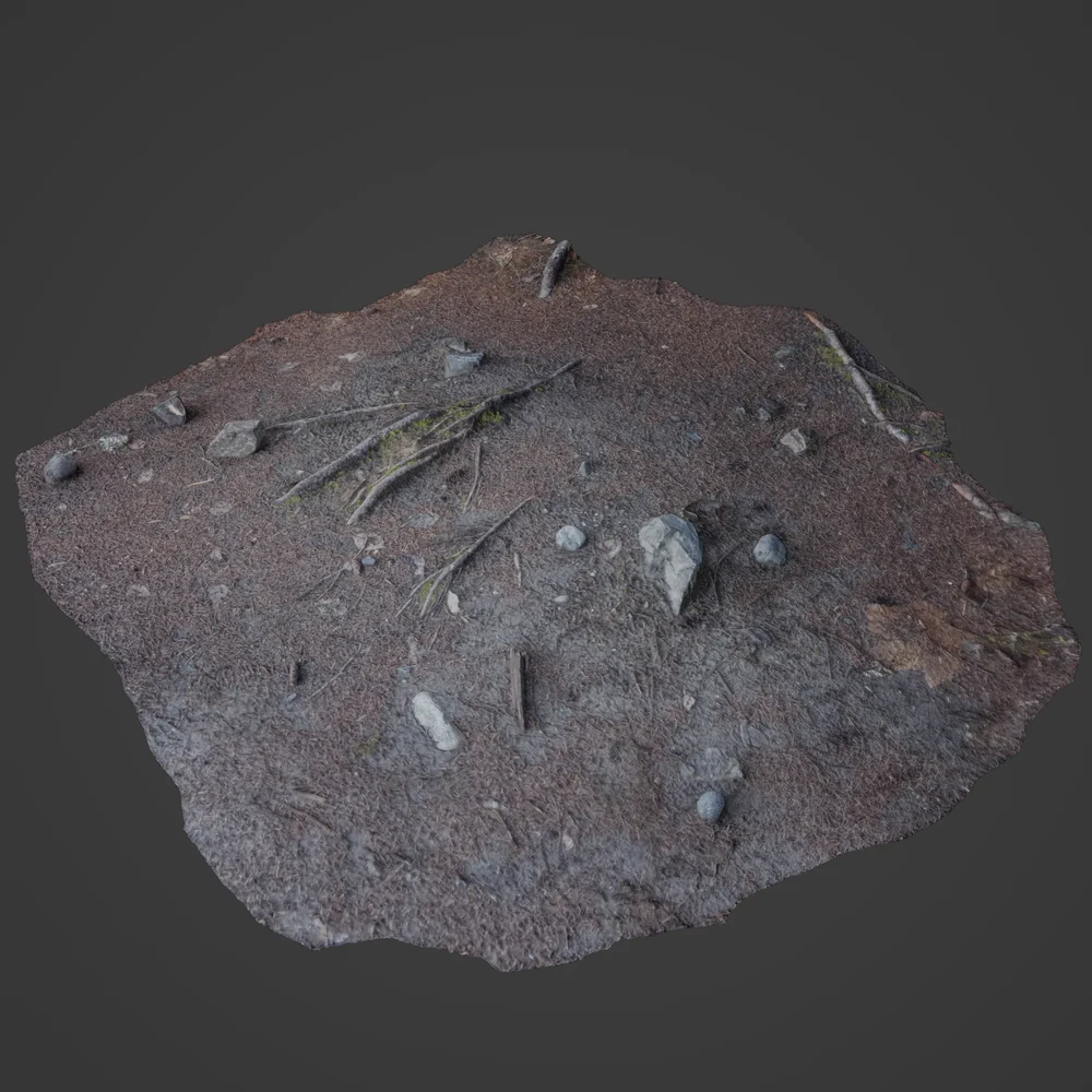 Forest Ground Photoscan