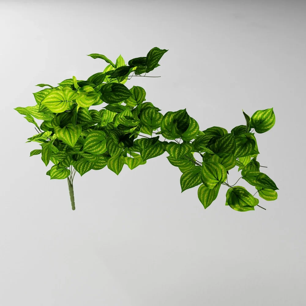 Artificial Tendril Peperomia V1