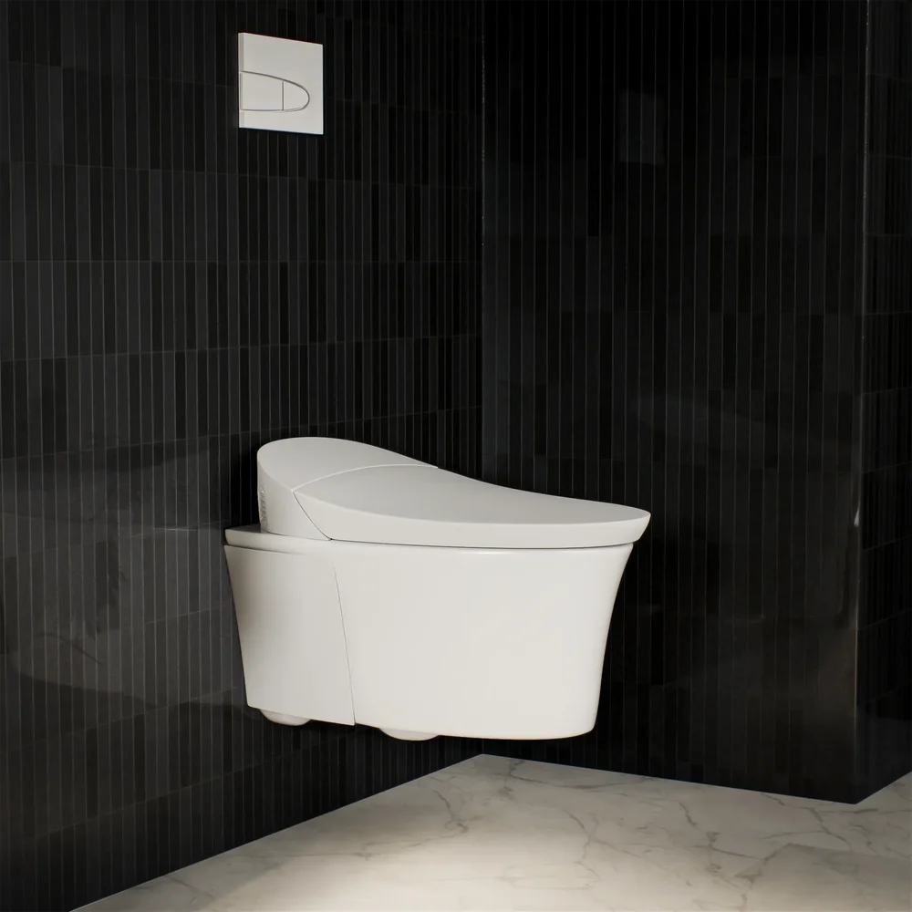 Wall Hung Toilet