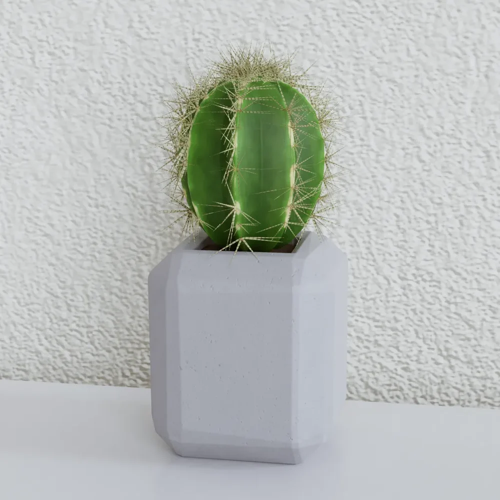 Potted Cactus (Mid Poly Version)