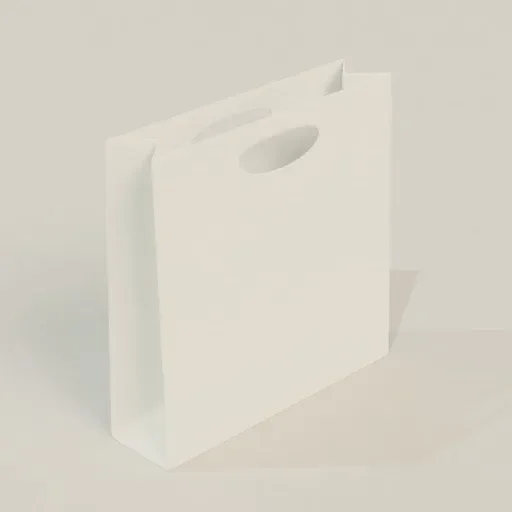 Paper Bag