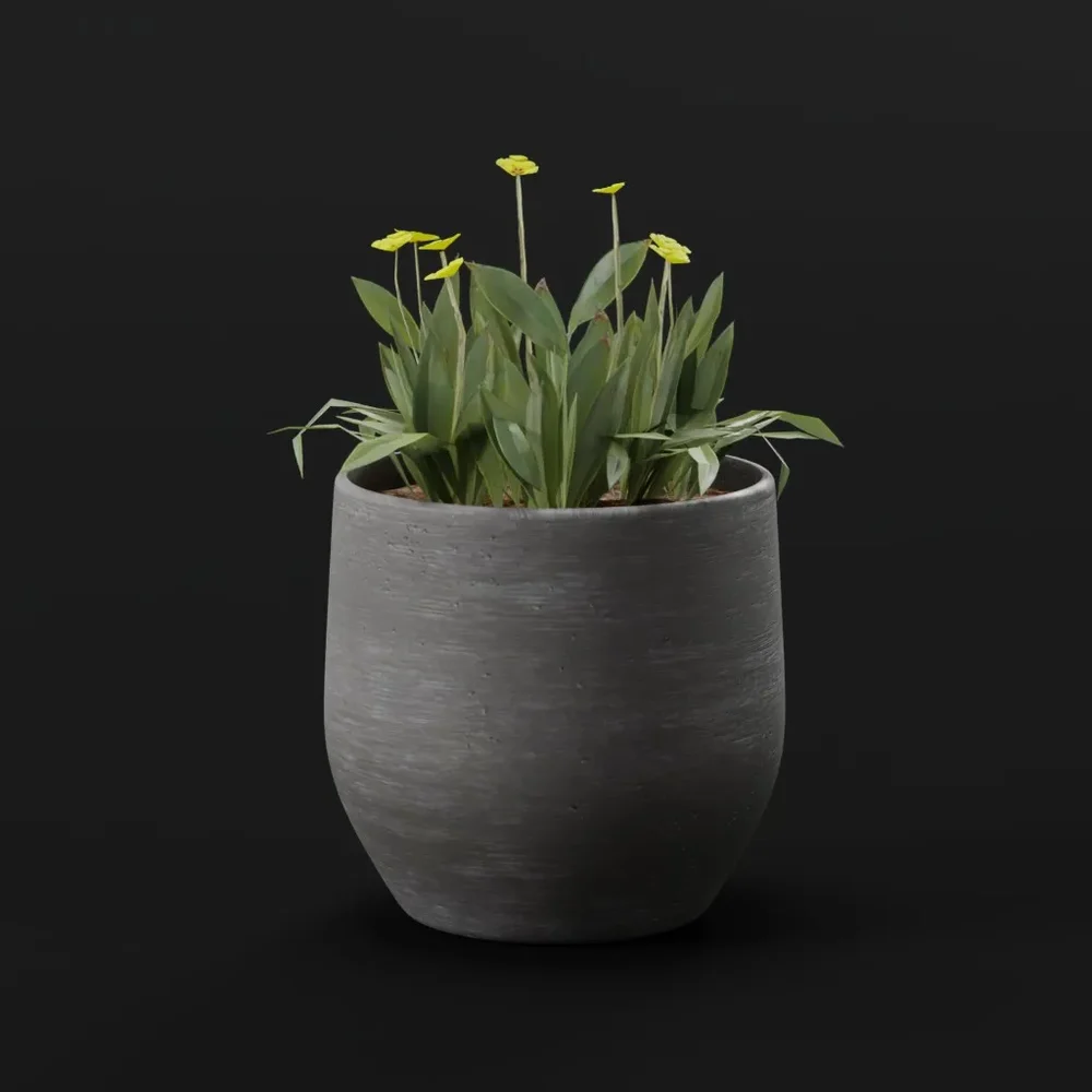 Yellow Small Flowers Pot Lrg
