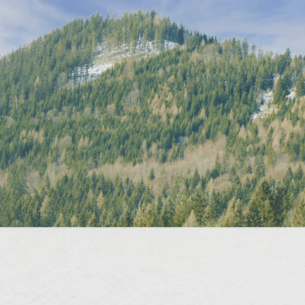 Mountain Of Austria Backdrop 004