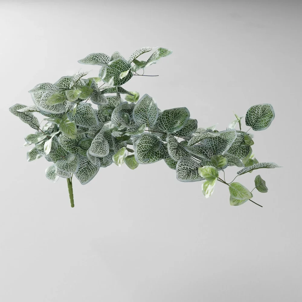 Artificial Tendril Fitonia White V1