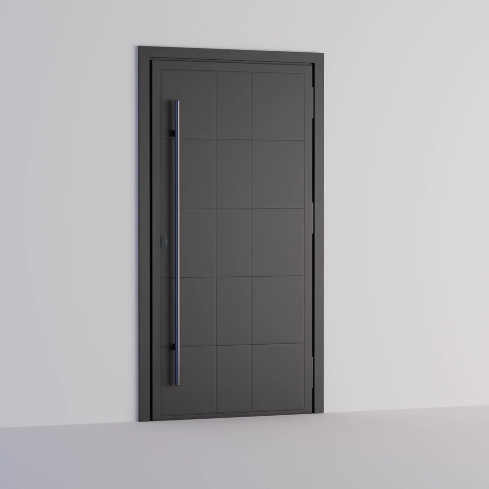 Door Stainless Steel Modern