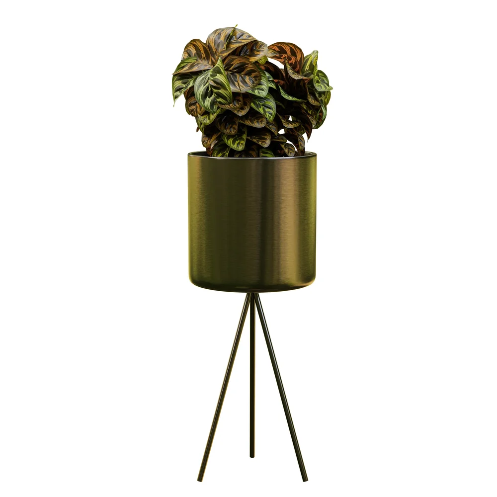 Modern Metallic Planter