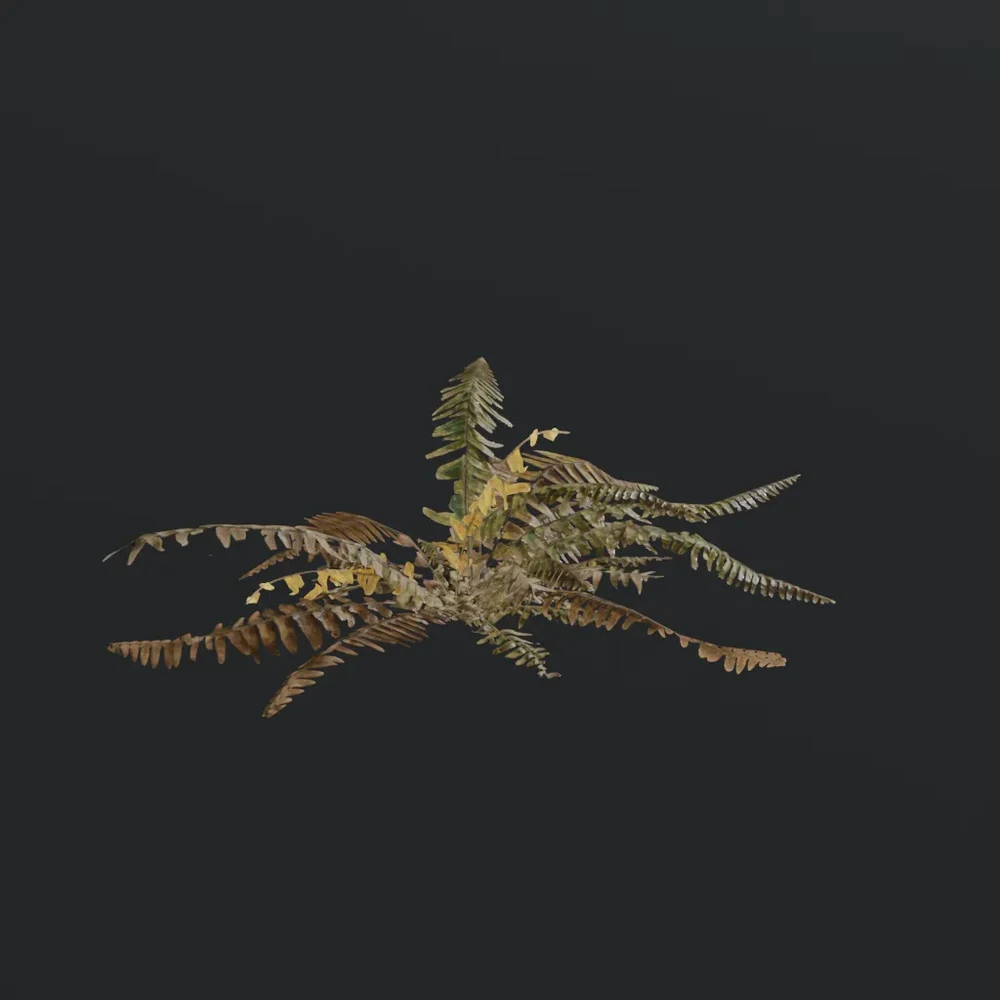 Tropical Fern E1
