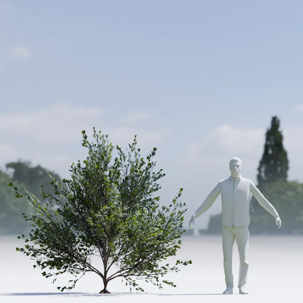 Bush Lowpoly Animated