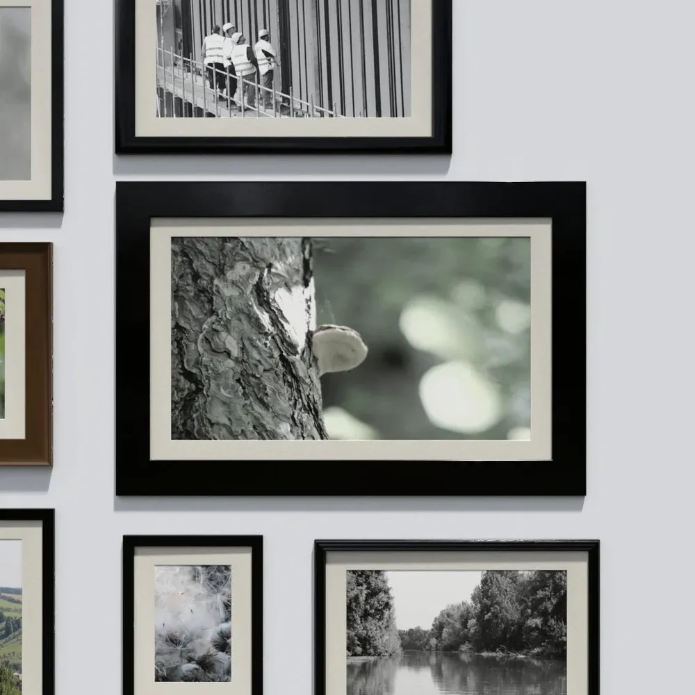 Photo Frame 'Anyframe' With A Mushroom On A Tree